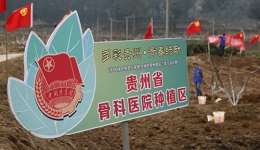 医院参加团省委组织开展的植树活动