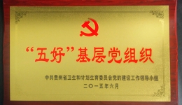 热烈祝贺机关党支部荣获卫计委首批“五好”基层党组织荣誉称号