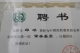 喜讯