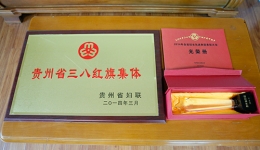 贵州省骨科医院荣获2014贵州省三八红旗集体