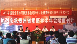 贵州省疼痛学会2011年年会在省骨科医院胜利召开