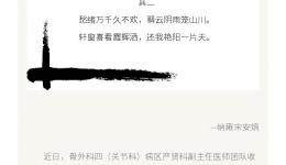 两首小诗的故事