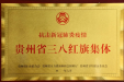 【喜讯】省骨科医院荣获抗击新冠肺炎疫情贵州省三八红旗集体！