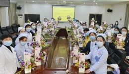 【女神节】“最美人间三月天”