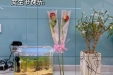 【骨医新闻】魅力骨医，美丽天使
