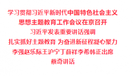 学习贯彻习近平新时代中国特色社会主义思想主题教育工作会议在京召开 习近平发表重要讲话