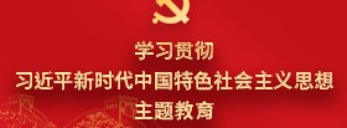 学习贯彻习近平新时代中国特色社会主义思想主题教育