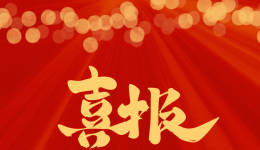 【喜讯】“组织奖”、“优秀网络账号奖”！获奖数达29个！