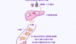 爱喝酒的您千万不能错过的小知识——双硫仑样反应
