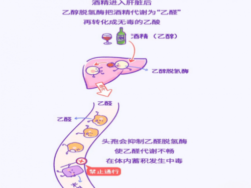 爱喝酒的您千万不能错过的小知识——双硫仑样反应