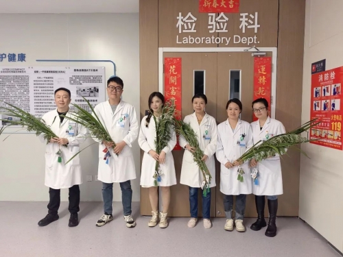 工会活动丨“艾”上端午 “蒲”写安康——传统与关怀“双倍抵达”