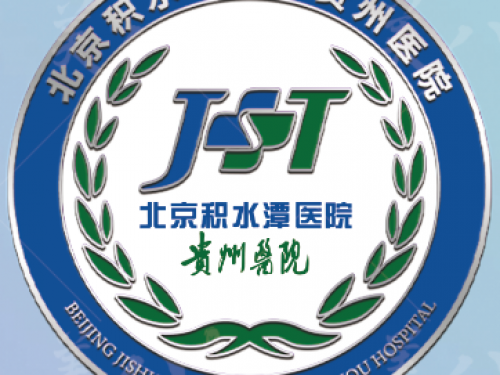 定了！北京积水潭医院贵州医院院徽长这样
